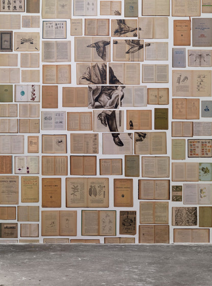 Biblioteca Mural 1 Wallpaper-Contract Furniture Store for hospitality, leisure & commercial projects