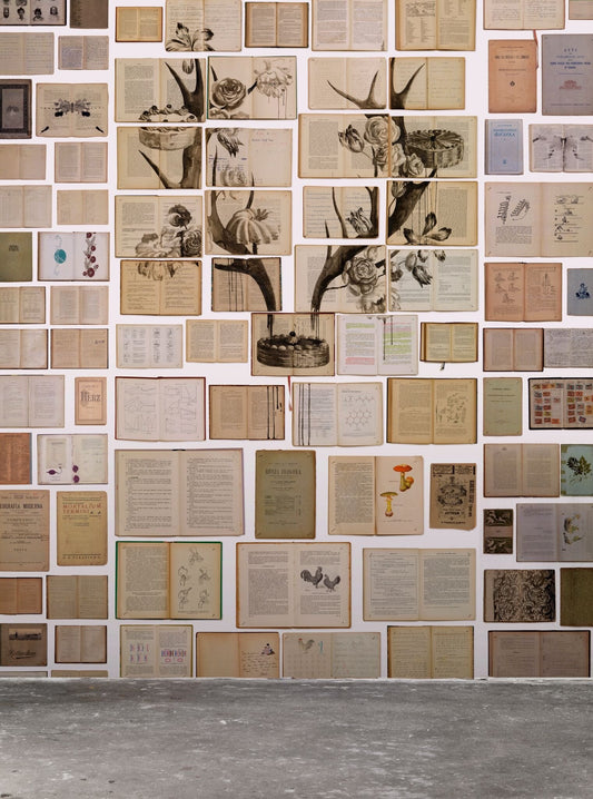 Biblioteca Mural 2 Wallpaper