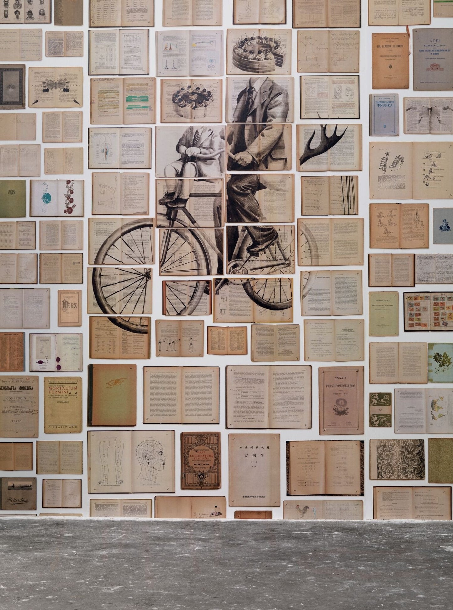 Biblioteca Mural 3 Wallpaper-Contract Furniture Store for hospitality, leisure & commercial projects