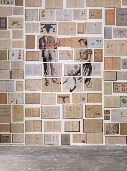 Biblioteca Mural 4 Wallpaper