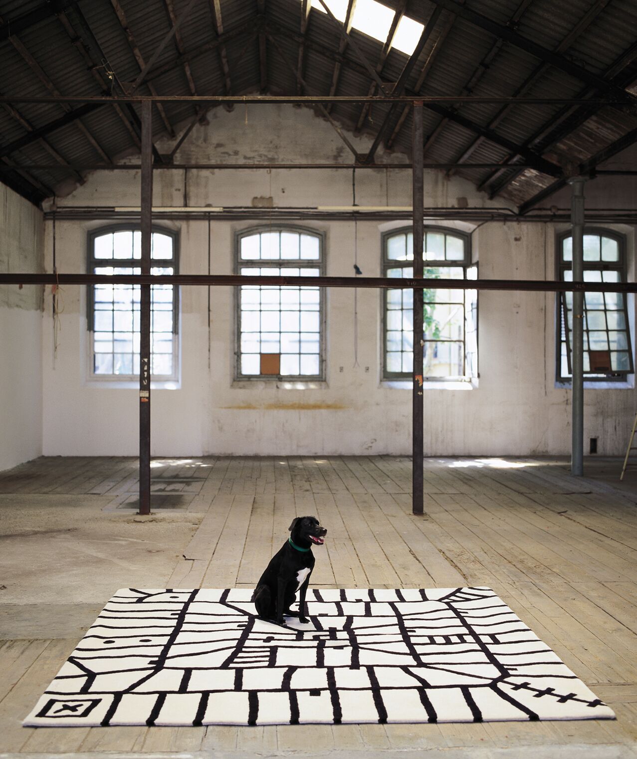 Black On White Limbo Rug