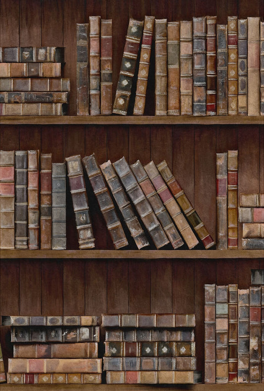Book Shelves Wallpaper