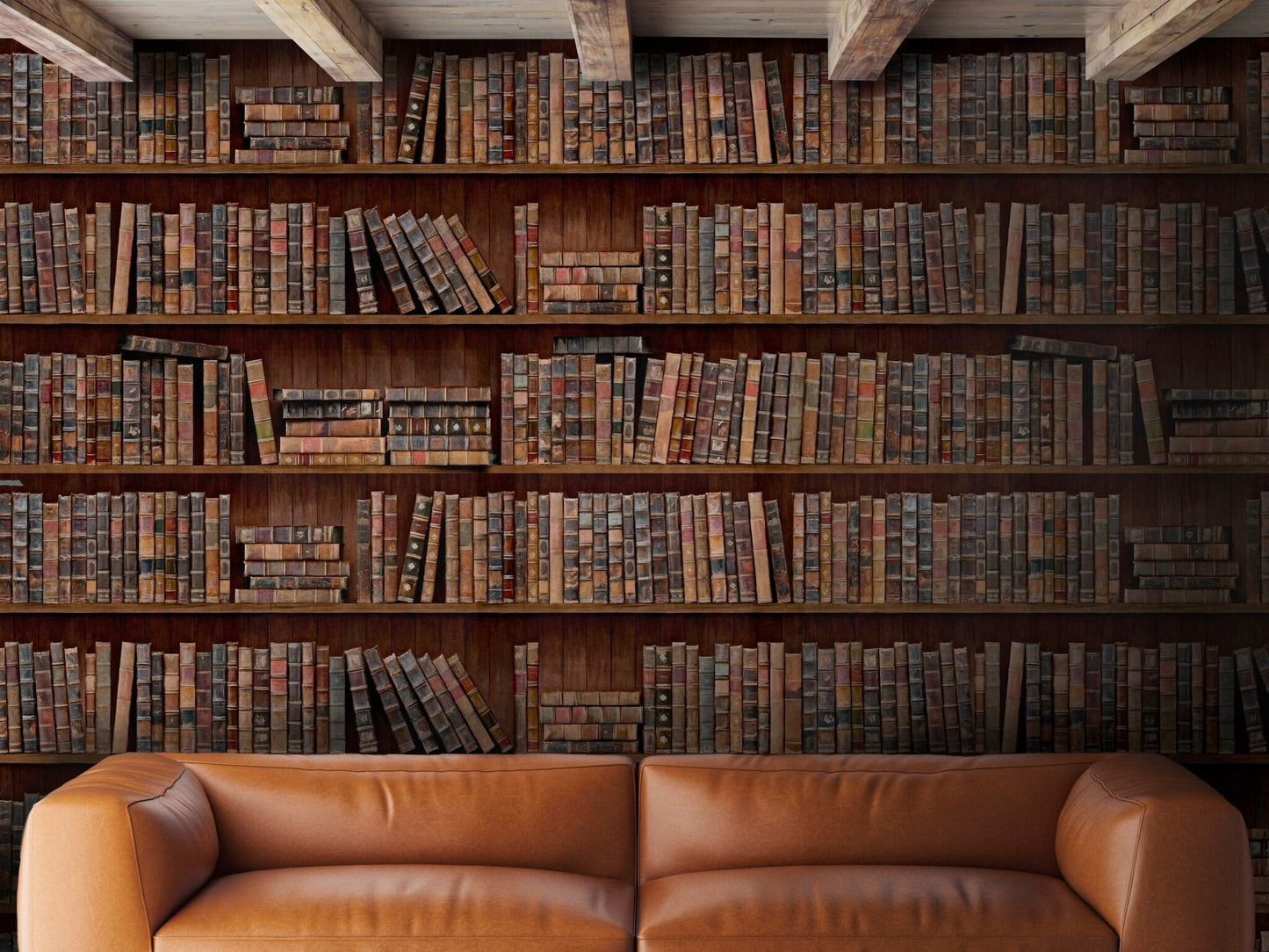 Book Shelves Wallpaper