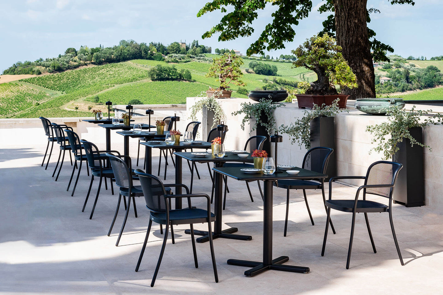 Café 556 Side Chair-Contract Furniture Store for hospitality, leisure & commercial projects