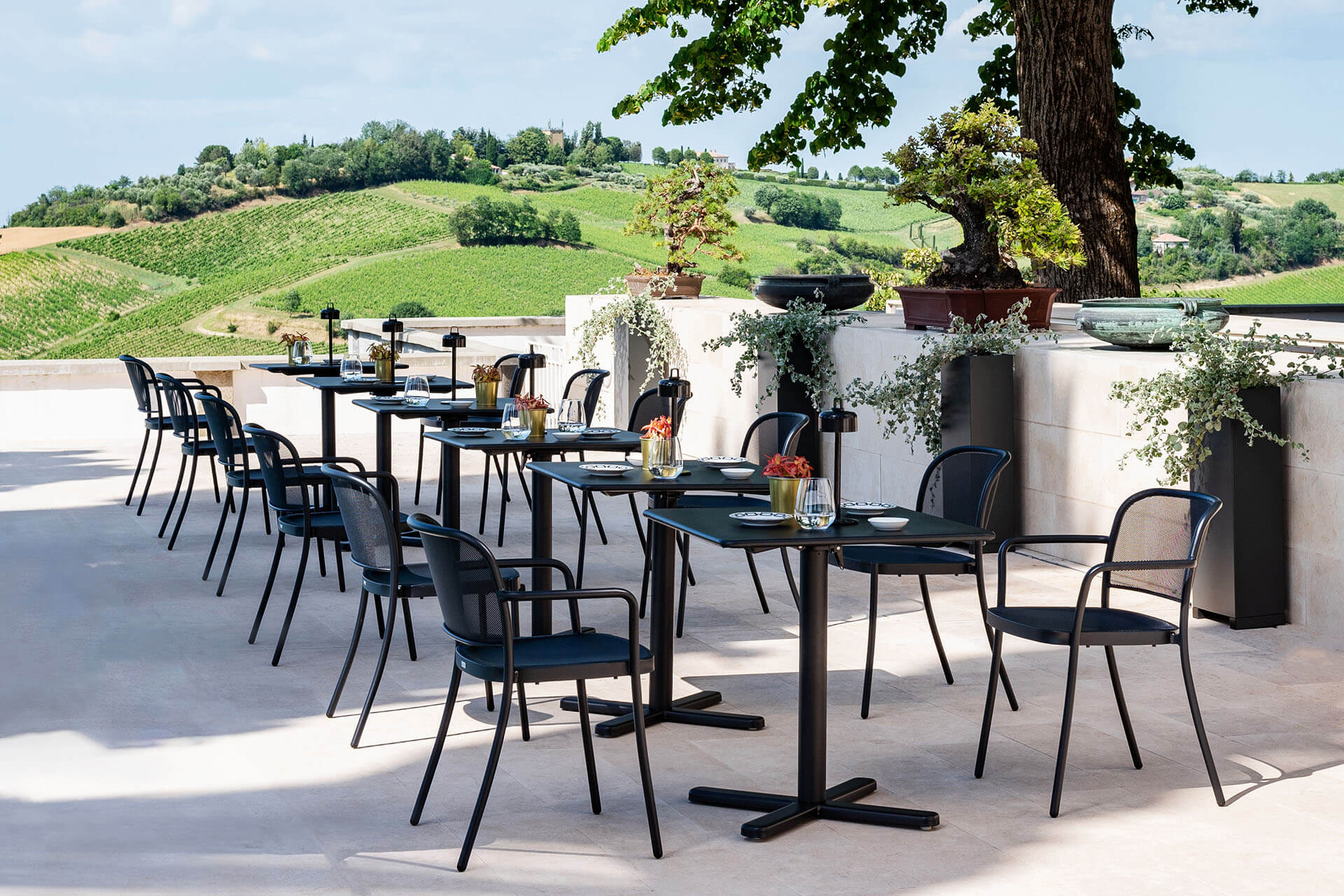 Café 557 Armchair-Contract Furniture Store for hospitality, leisure & commercial projects