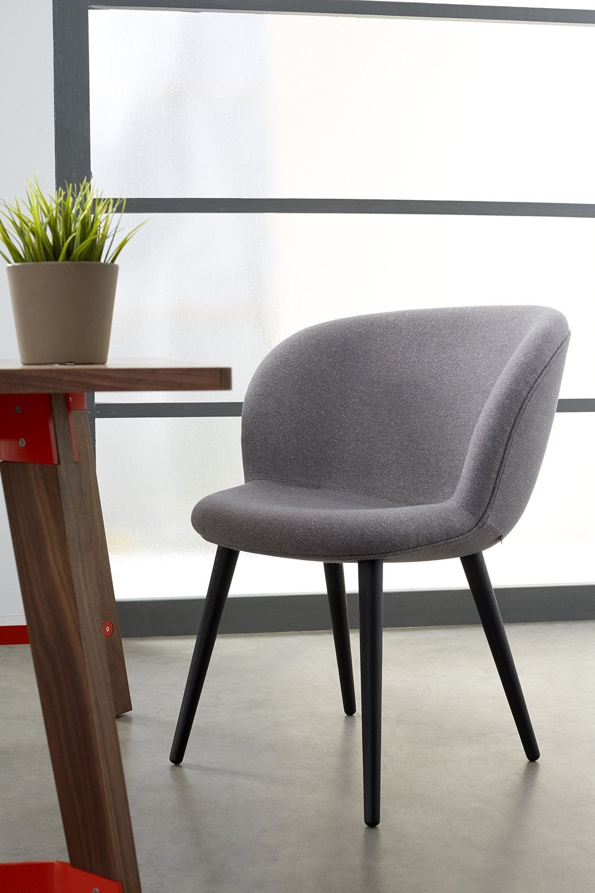 Capri Multi Wood Side Chair