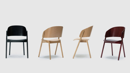 Chameleon Armchair
