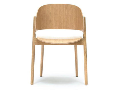 Chameleon Armchair