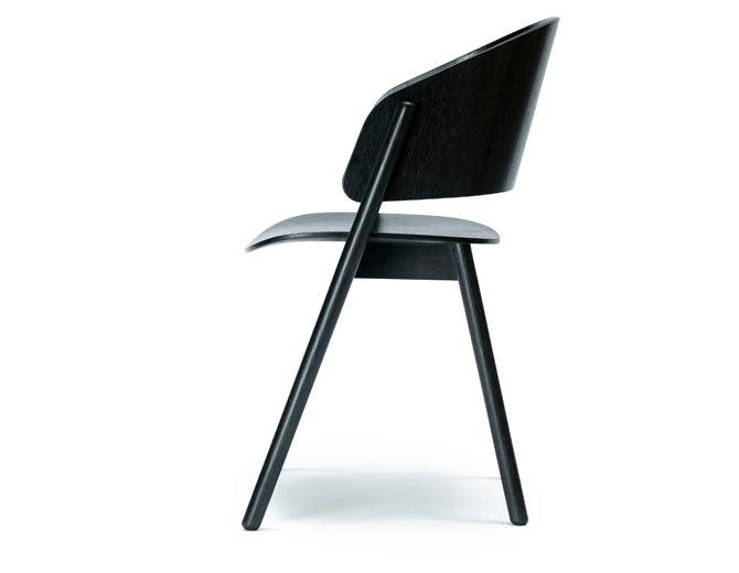 Chameleon Armchair