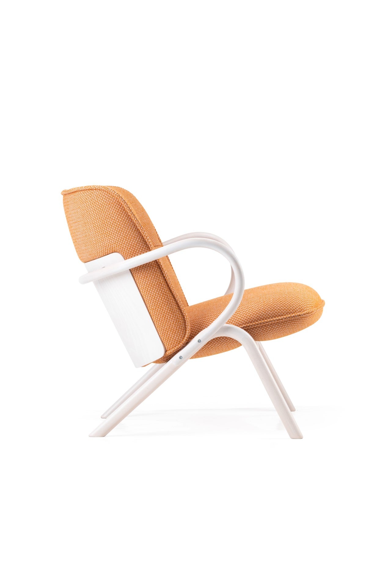 Cissy Lounge Chair