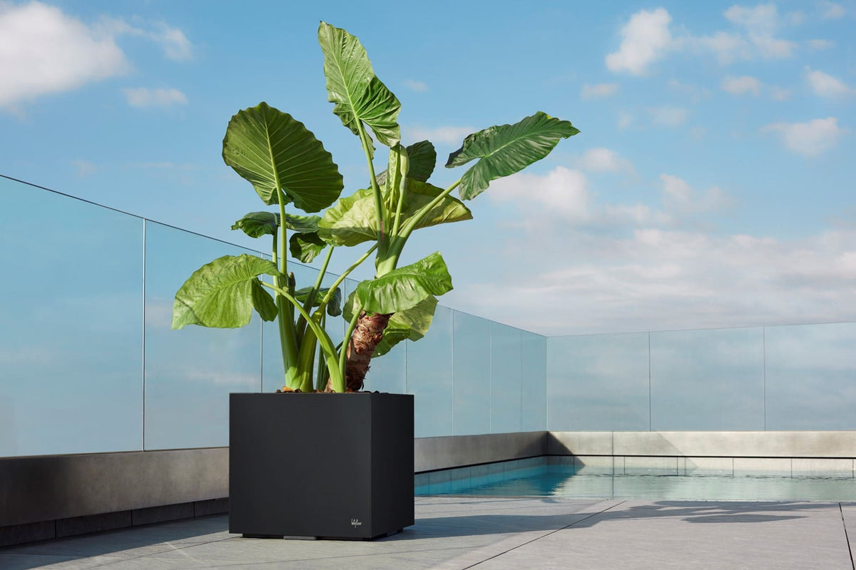 City Plus Hydroplanter-Hobby Flower-Contract Furniture Store