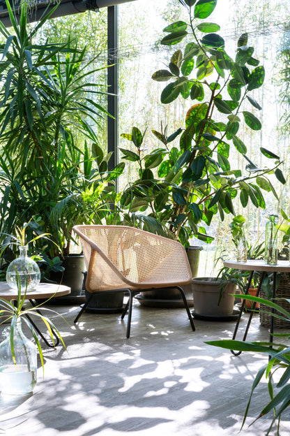 Colony Armchair-Contract Furniture Store for hospitality, leisure & commercial projects