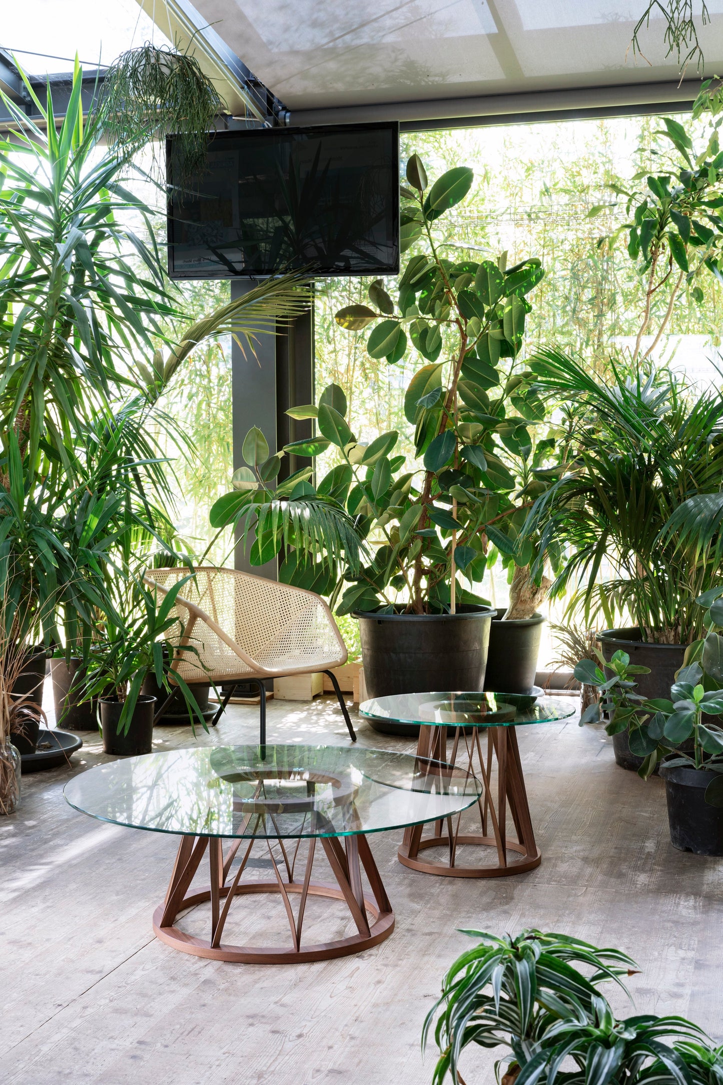 Colony Armchair-Contract Furniture Store for hospitality, leisure & commercial projects