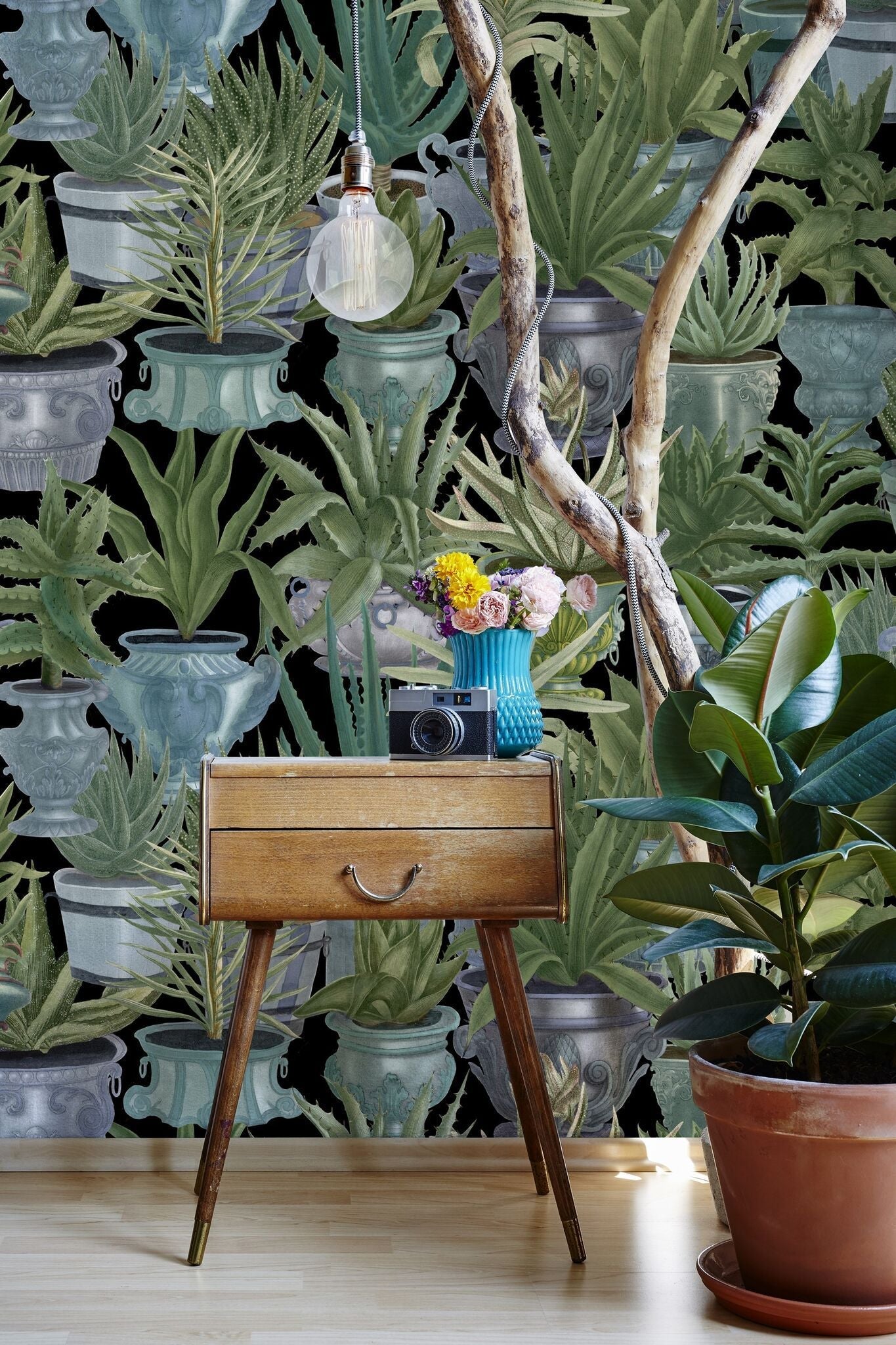 Echeveria Wallpaper-Contract Furniture Store for hospitality, leisure & commercial projects