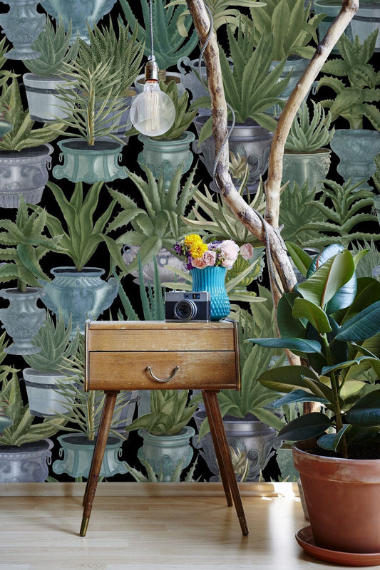 Echeveria Wallpaper-Contract Furniture Store for hospitality, leisure & commercial projects