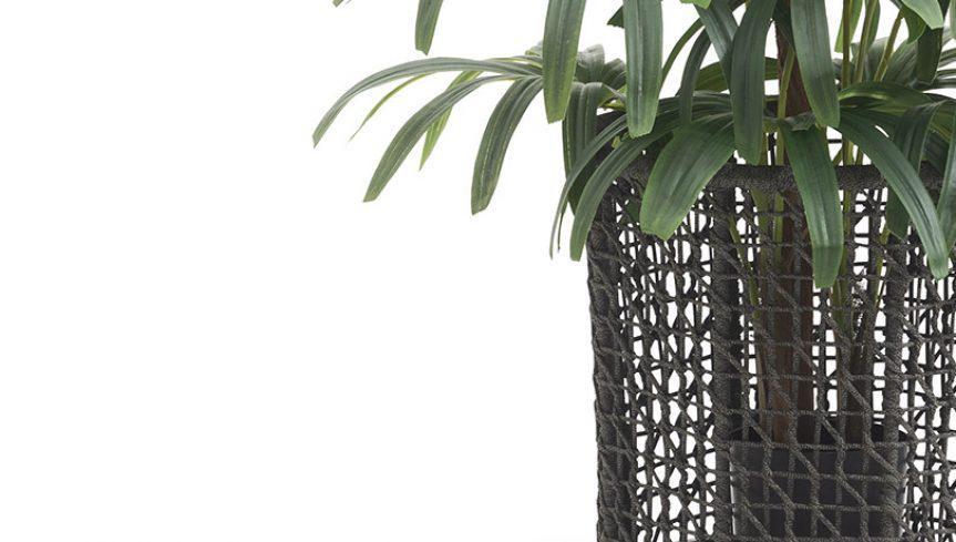 Emma 23693 Flowerpot-Contract Furniture Store for hospitality, leisure & commercial projects