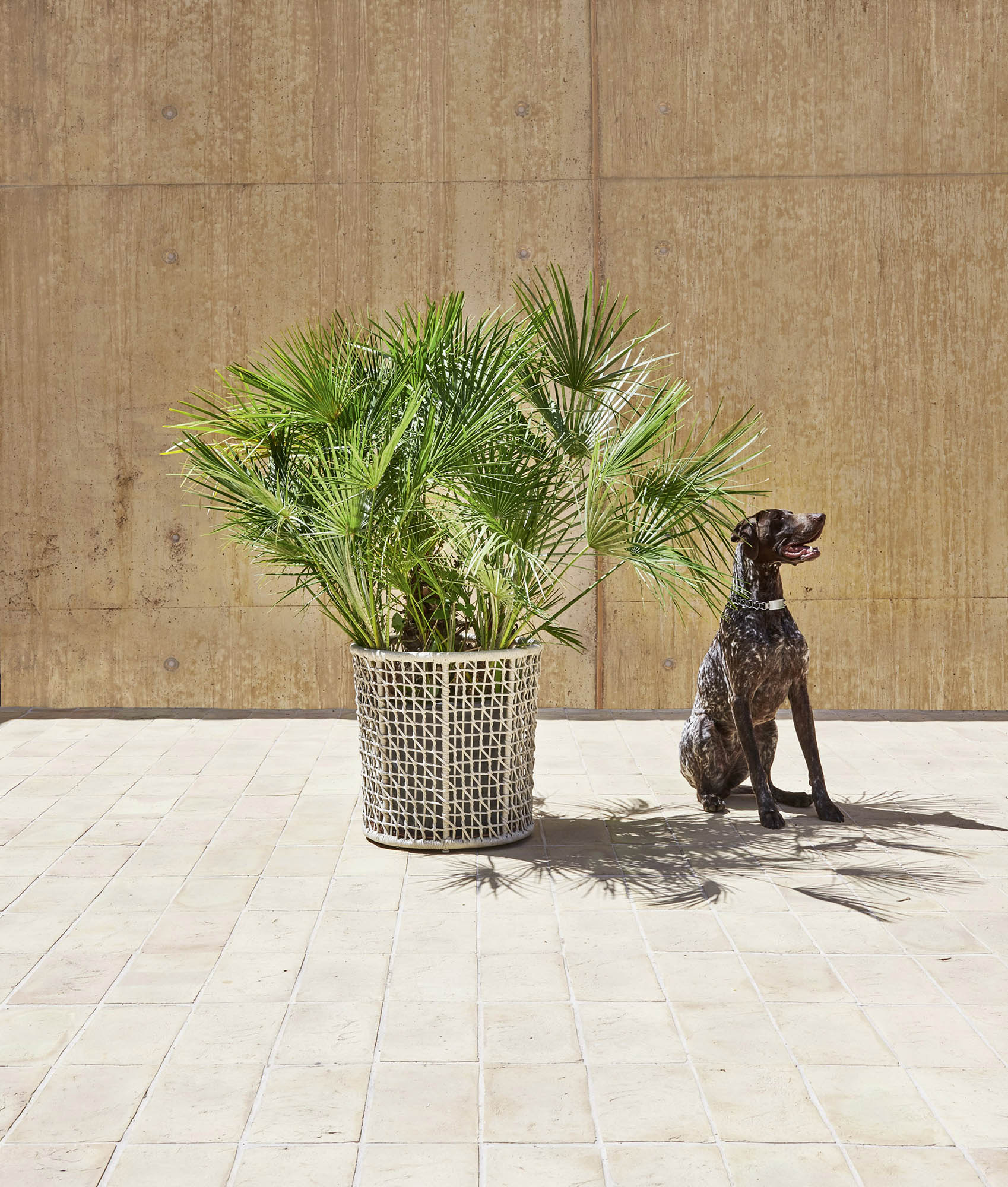 Emma 23693 Flowerpot-Contract Furniture Store for hospitality, leisure & commercial projects