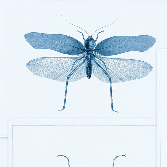 Entomology Blue Wallpaper-Contract Furniture Store for hospitality, leisure & commercial projects