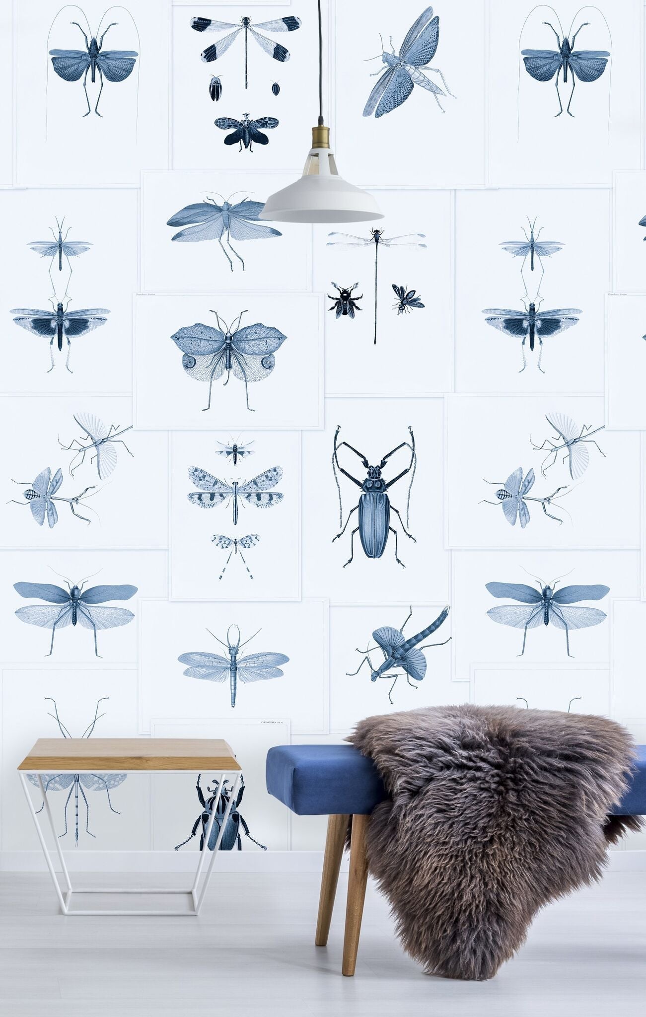 Entomology Blue Wallpaper-Mind The Gap-Contract Furniture Store