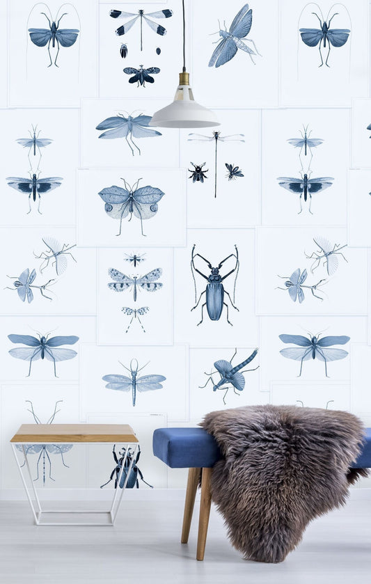 Entomology Blue Wallpaper