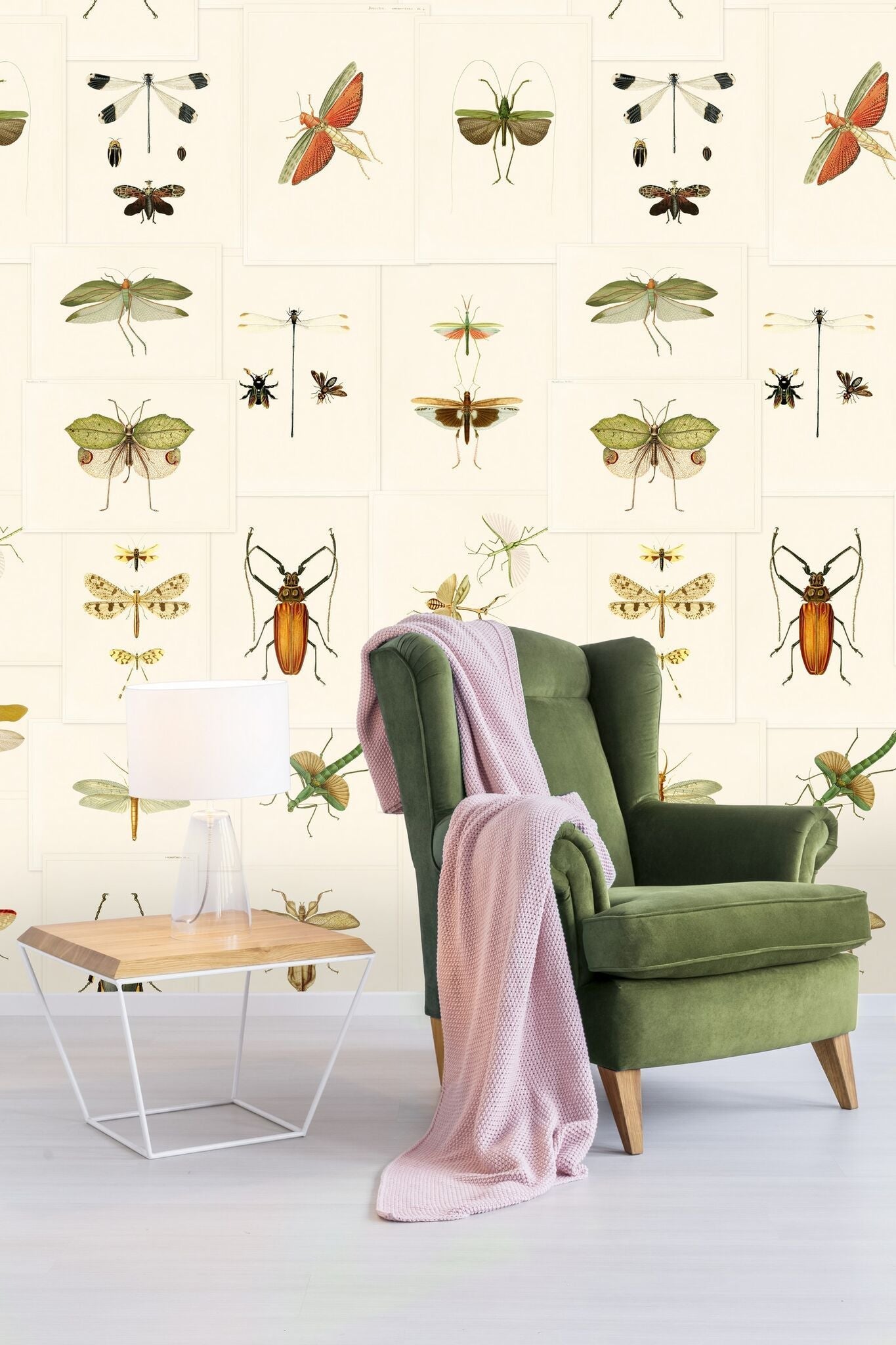 Entomology Wallpaper-Mind The Gap-Contract Furniture Store