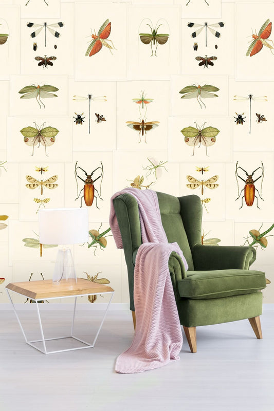 Entomology Wallpaper