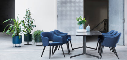 Ester Armchair-Contract Furniture Store for hospitality, leisure & commercial projects