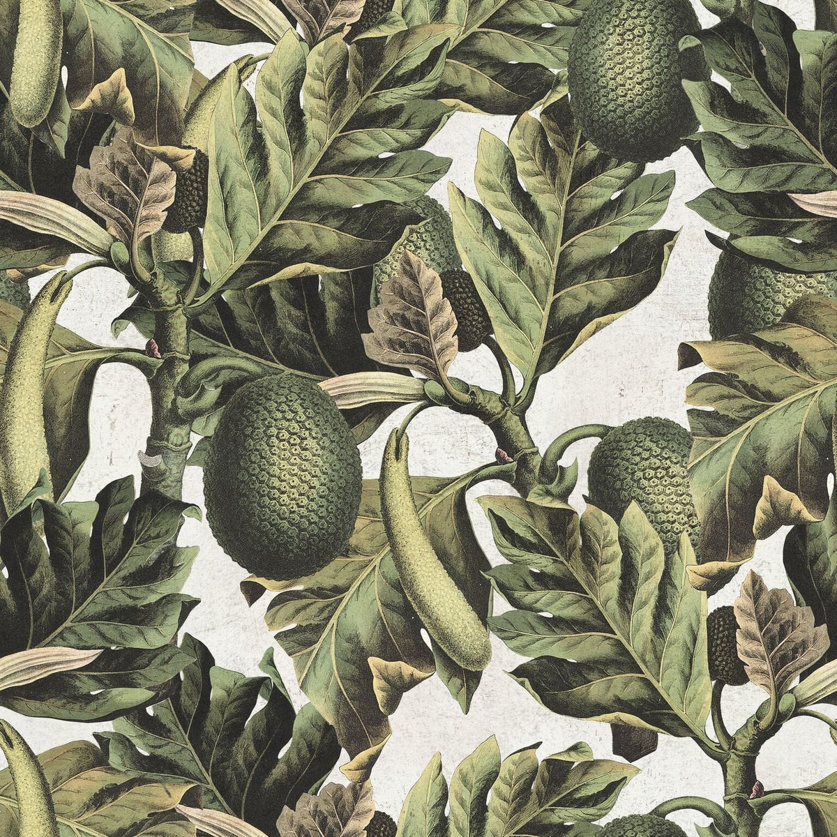 Exotic Fruit I Wallpaper-Mind The Gap-Contract Furniture Store