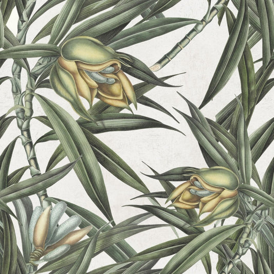 Exotic Fruit II Wallpaper-Contract Furniture Store for hospitality, leisure & commercial projects