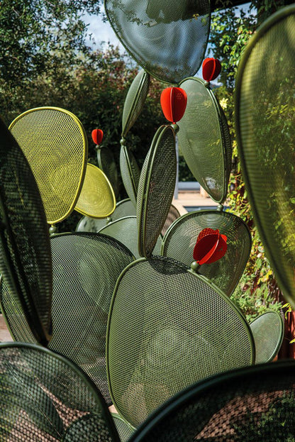 Ficus 1230 Art Sculpture