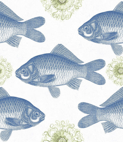 Fish Blue Wallpaper
