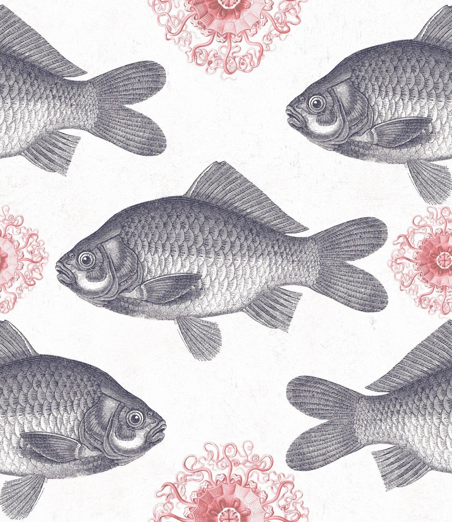 Fish Neutral Wallpaper