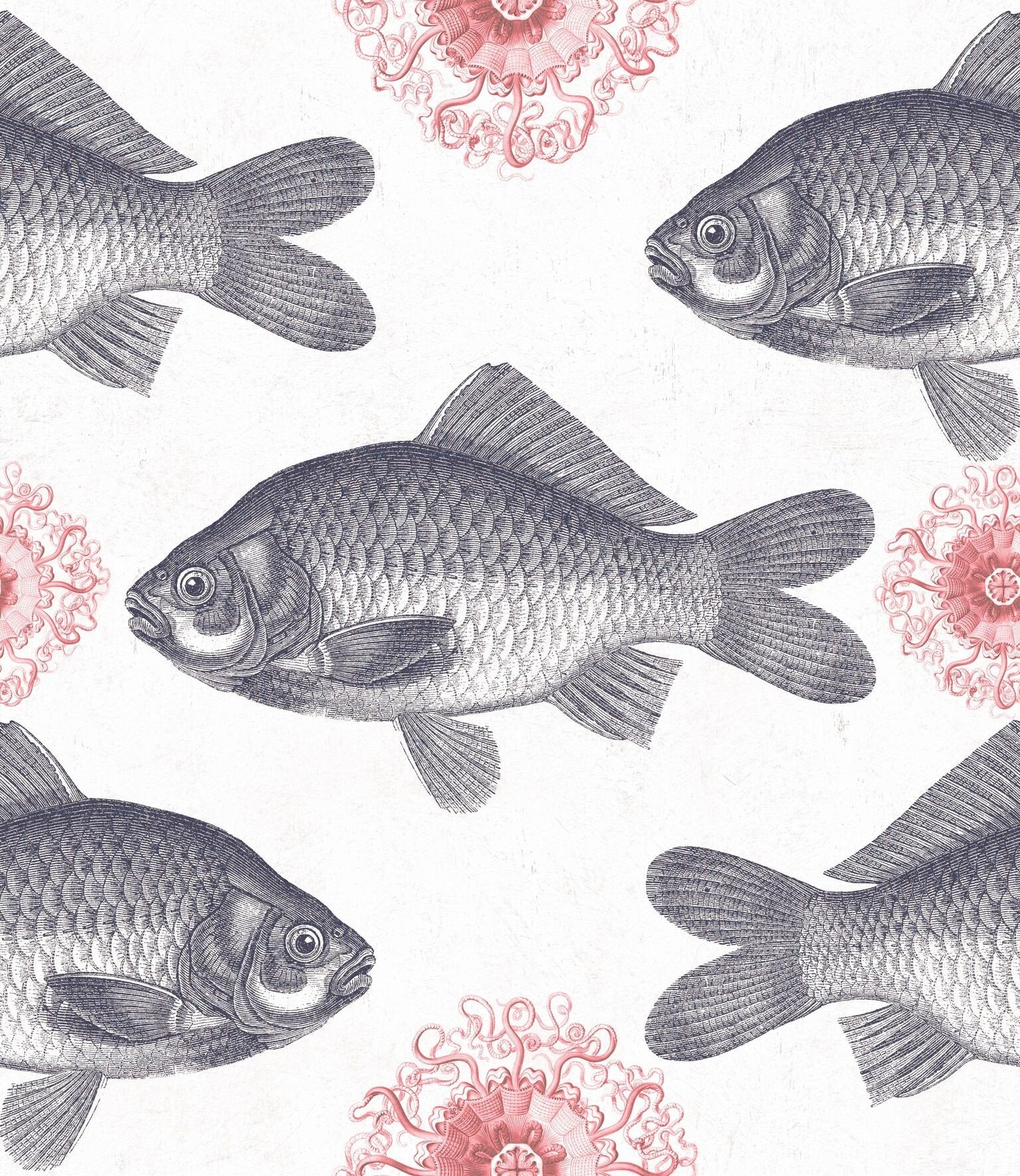 Fish Neutral Wallpaper