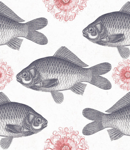 Fish Neutral Wallpaper