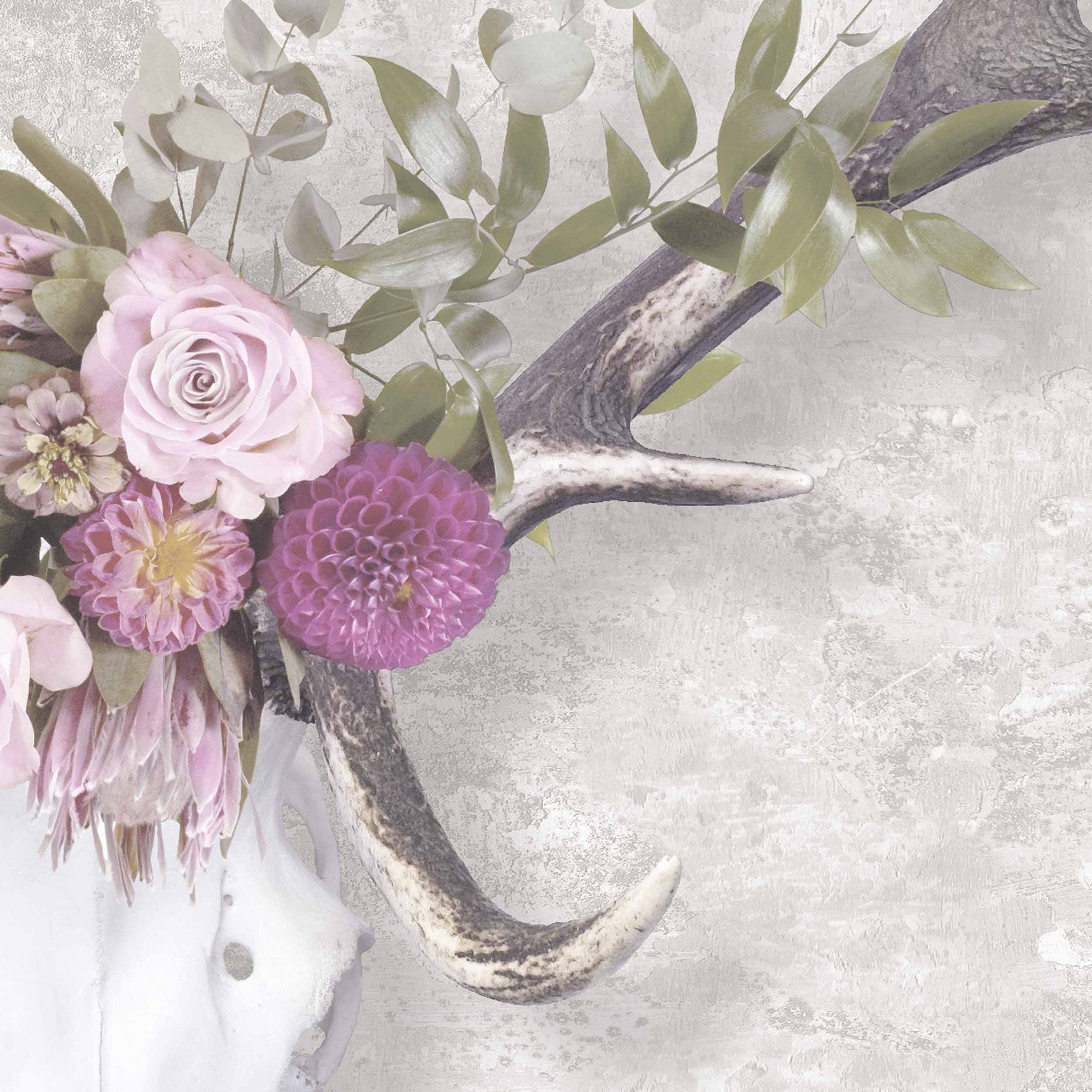 George The Stag Head Wallpaper-Contract Furniture Store for hospitality, leisure & commercial projects