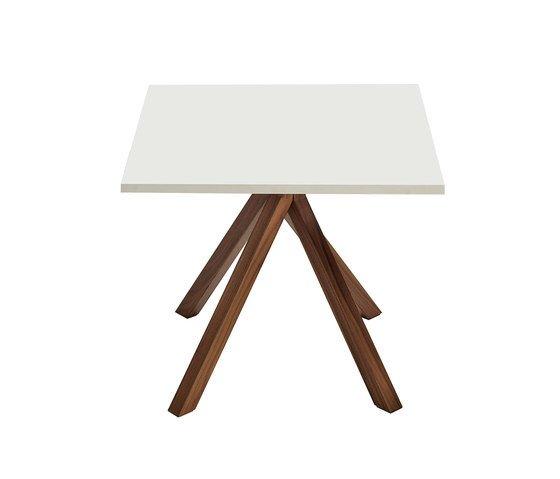 Grapevine Dining Table