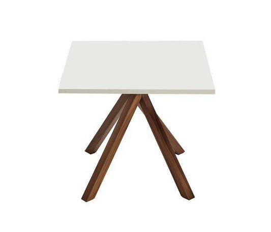 Grapevine Dining Table-Contract Furniture Store for hospitality, leisure & commercial projects