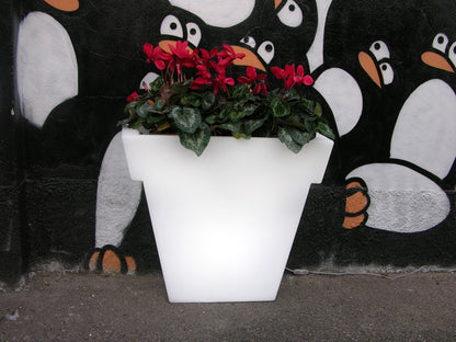 Il Vaso Pot