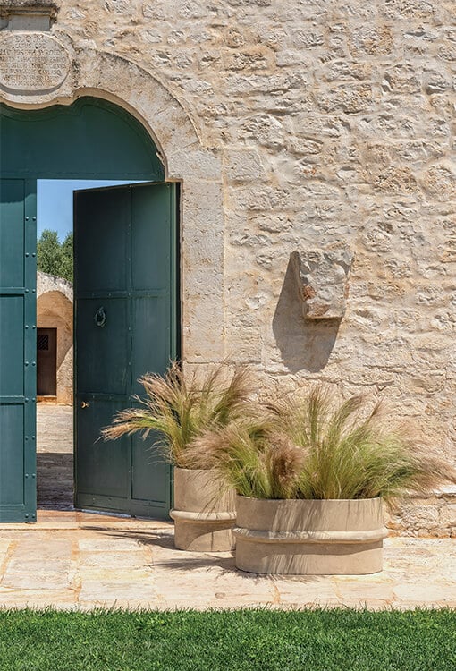 Innesti Vases