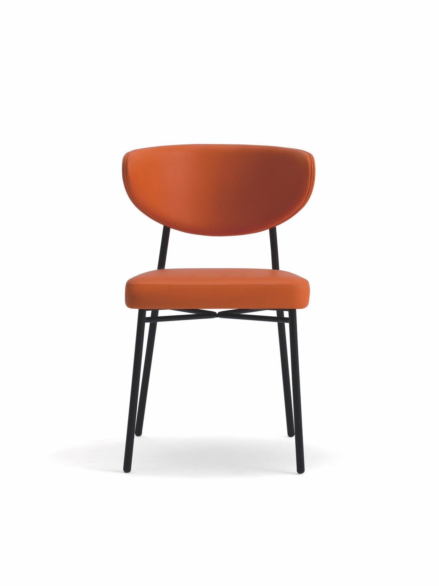 Ivy Side Chair