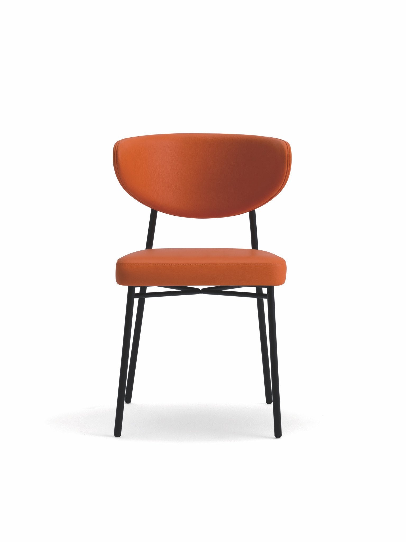 Ivy Side Chair