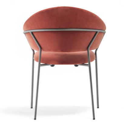 Jazz 3716 Armchair