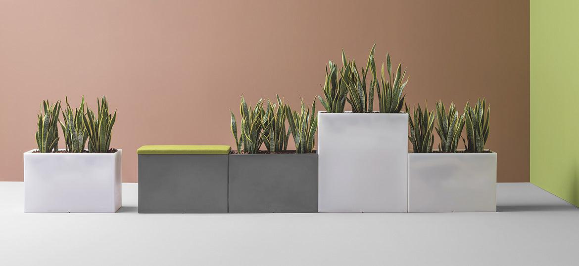 Kado Pot Planter
