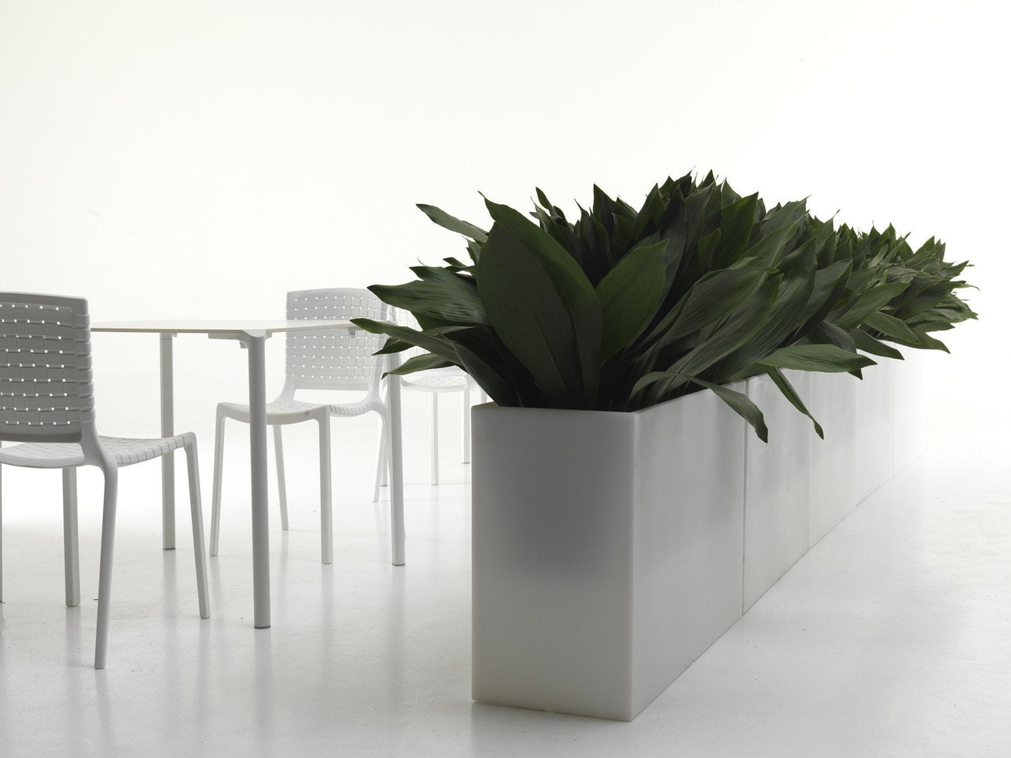 Kado Pot Planter