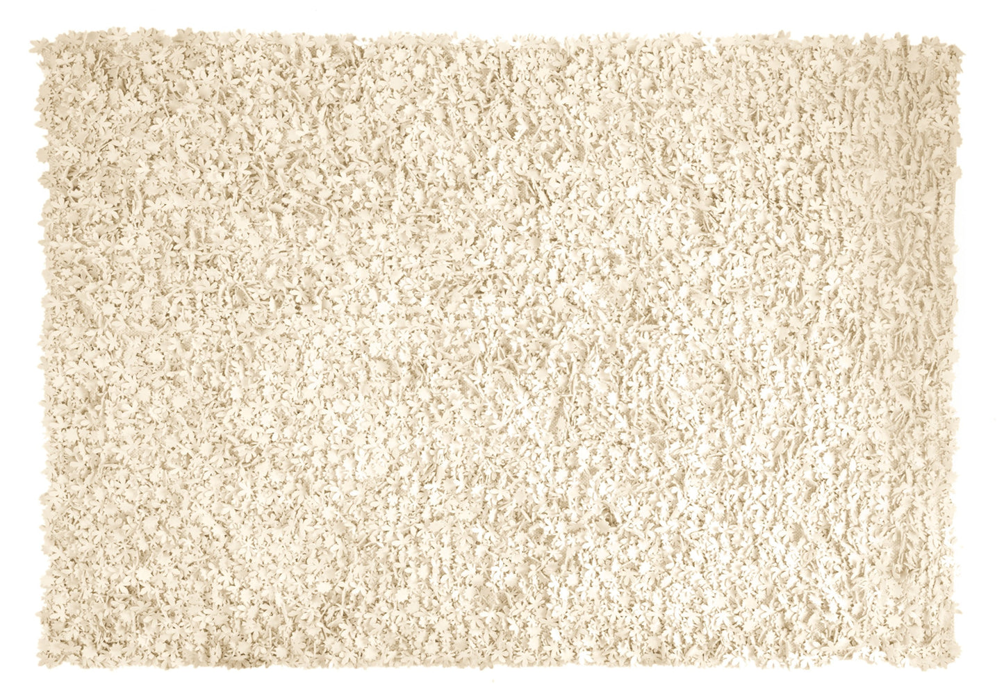 Little Field Of Flowers Ivory Rug-Contract Furniture Store for hospitality, leisure & commercial projects