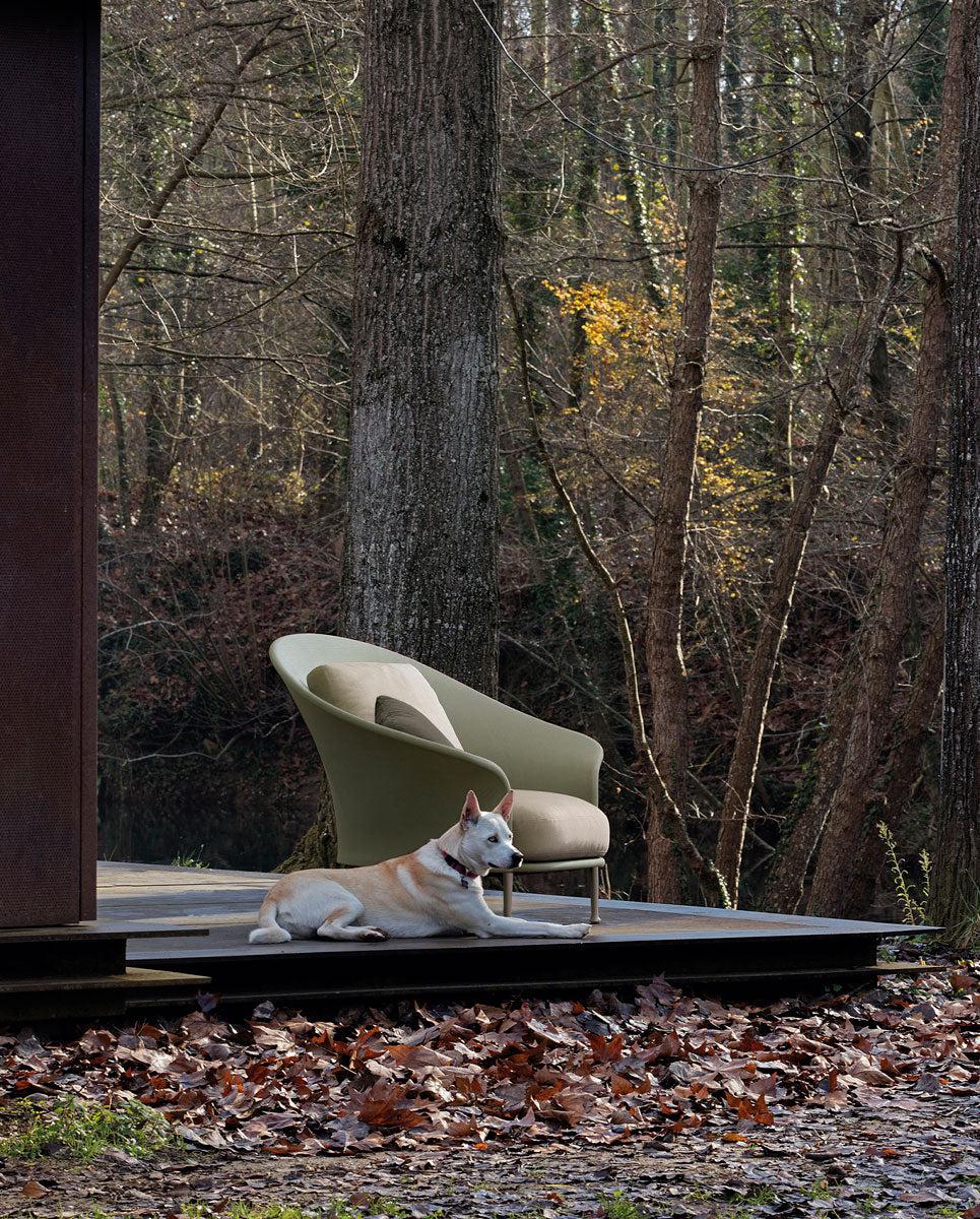 Liz Armchair-Contract Furniture Store for hospitality, leisure & commercial projects