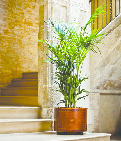 London Hydroplanter