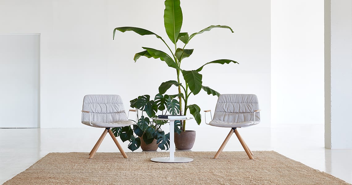 Maarten Soft Lounge Chair