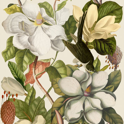 Magnolia Taupe Wallpaper