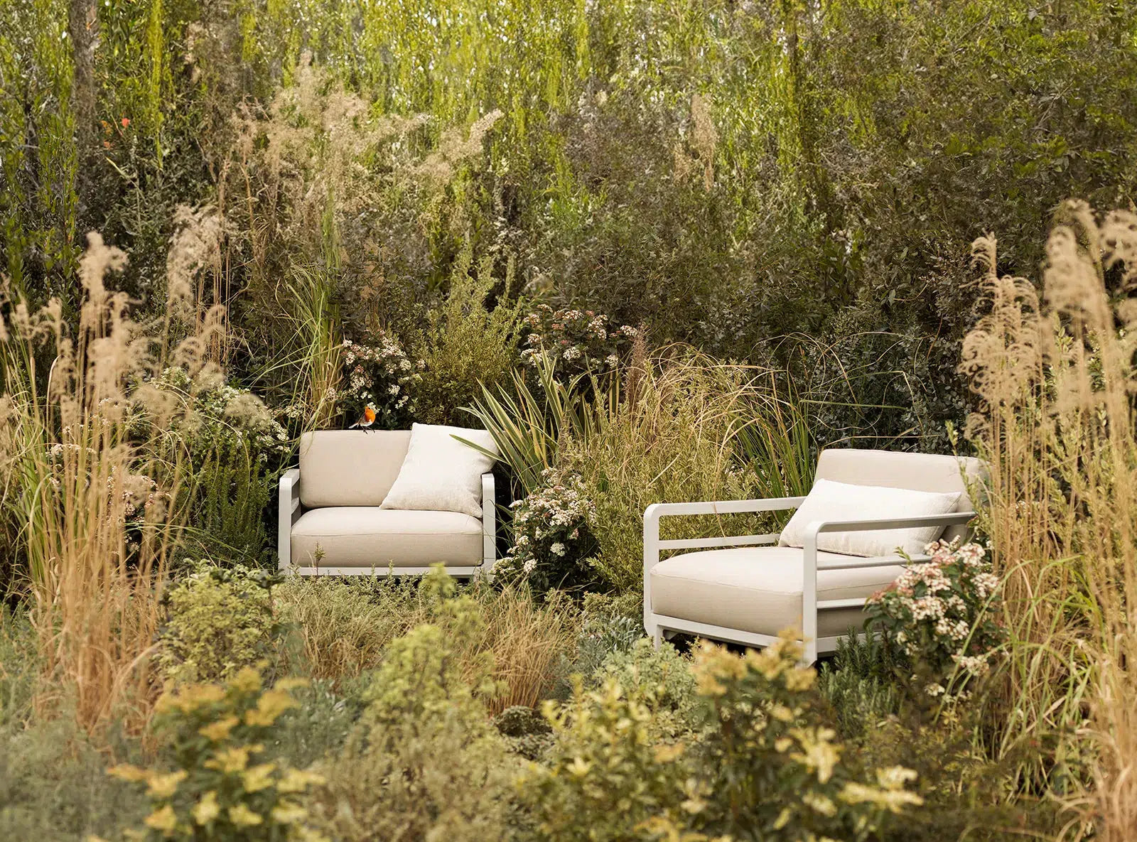 Maximo Lounge Chair-Contract Furniture Store for hospitality, leisure & commercial projects